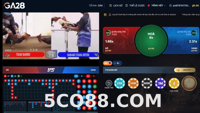 Đá gà trực tiếp hôm nay C1, C2, C3, C4, đá gà thomo, đá gà Campuchia 2 dagatructiep co88