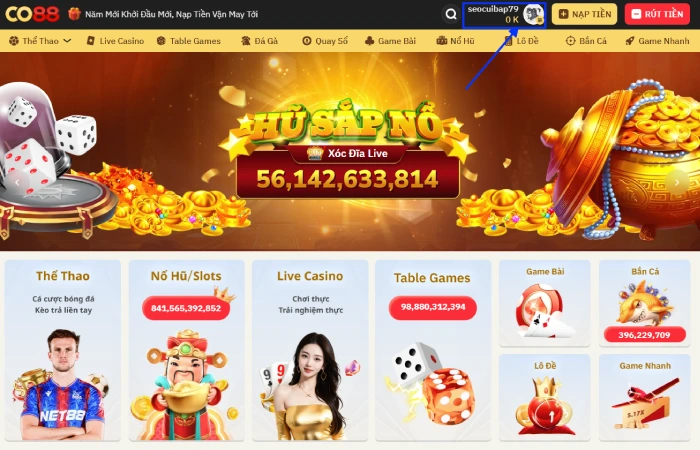 Hướng dẫn đăng ký & đăng nhập CO88 cho tân thủ 3 Đăng ký CO88