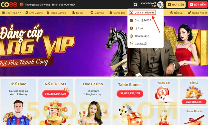 Hướng dẫn đăng ký & đăng nhập CO88 cho tân thủ 4 Đăng ký CO88