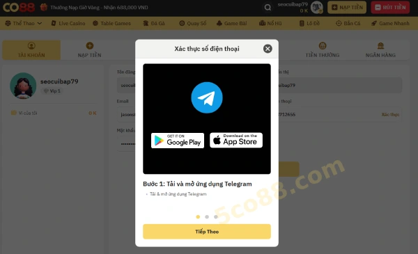 Hướng dẫn đăng ký & đăng nhập CO88 cho tân thủ 5 Đăng ký CO88